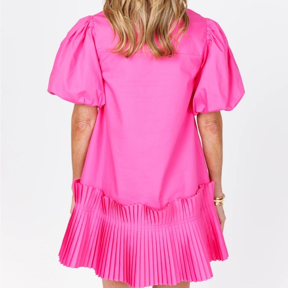 Avara Parker Dress Small pink puff sleeve ruffle bottom button front dress NWT - Picture 2 of 3